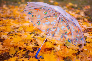 Фотография к новости: Туманы и дожди ожидаются в Казахстане в конце недели 