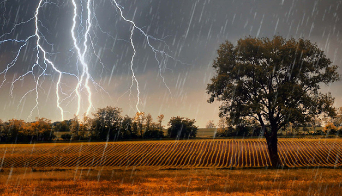 иллюстративное 