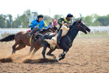 Фотография к новости: Устроивших кокпар в селе Алматинской области наказали штрафом