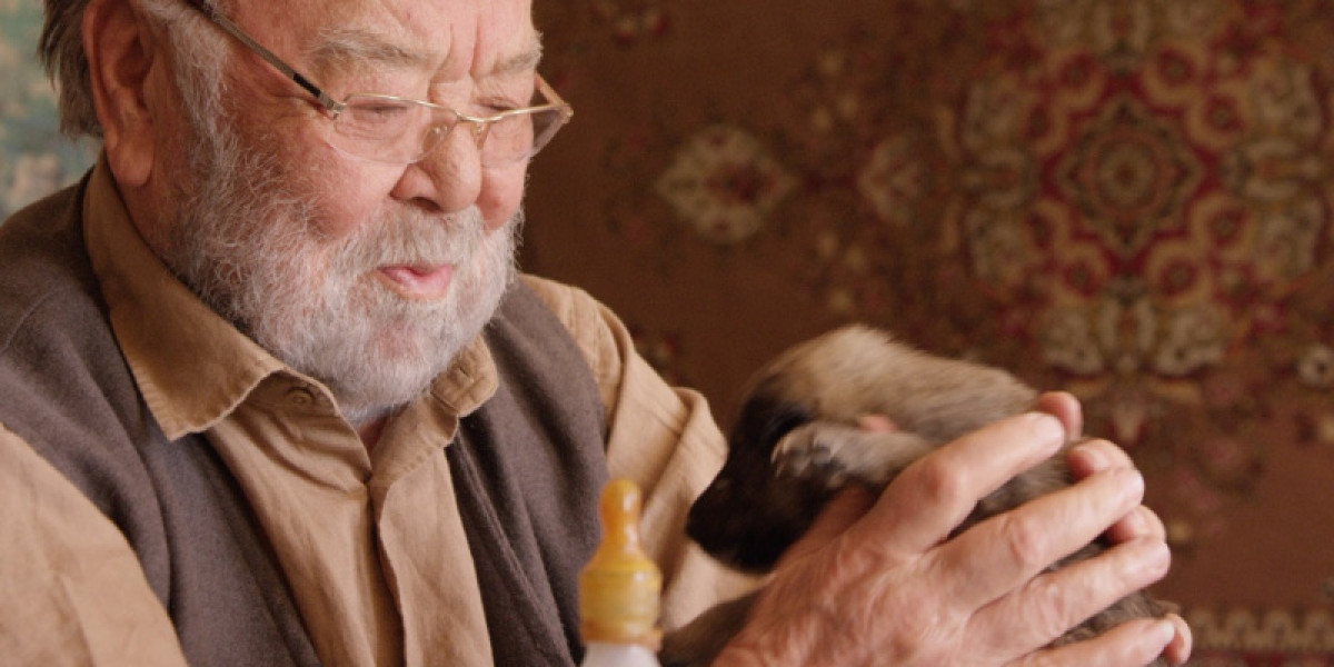 Казахстанские актеры удостоились призов фестиваля "Киношок"