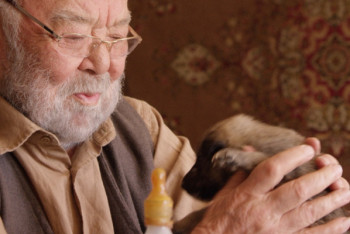 Фотография к новости: Казахстанские актеры удостоились призов фестиваля "Киношок"