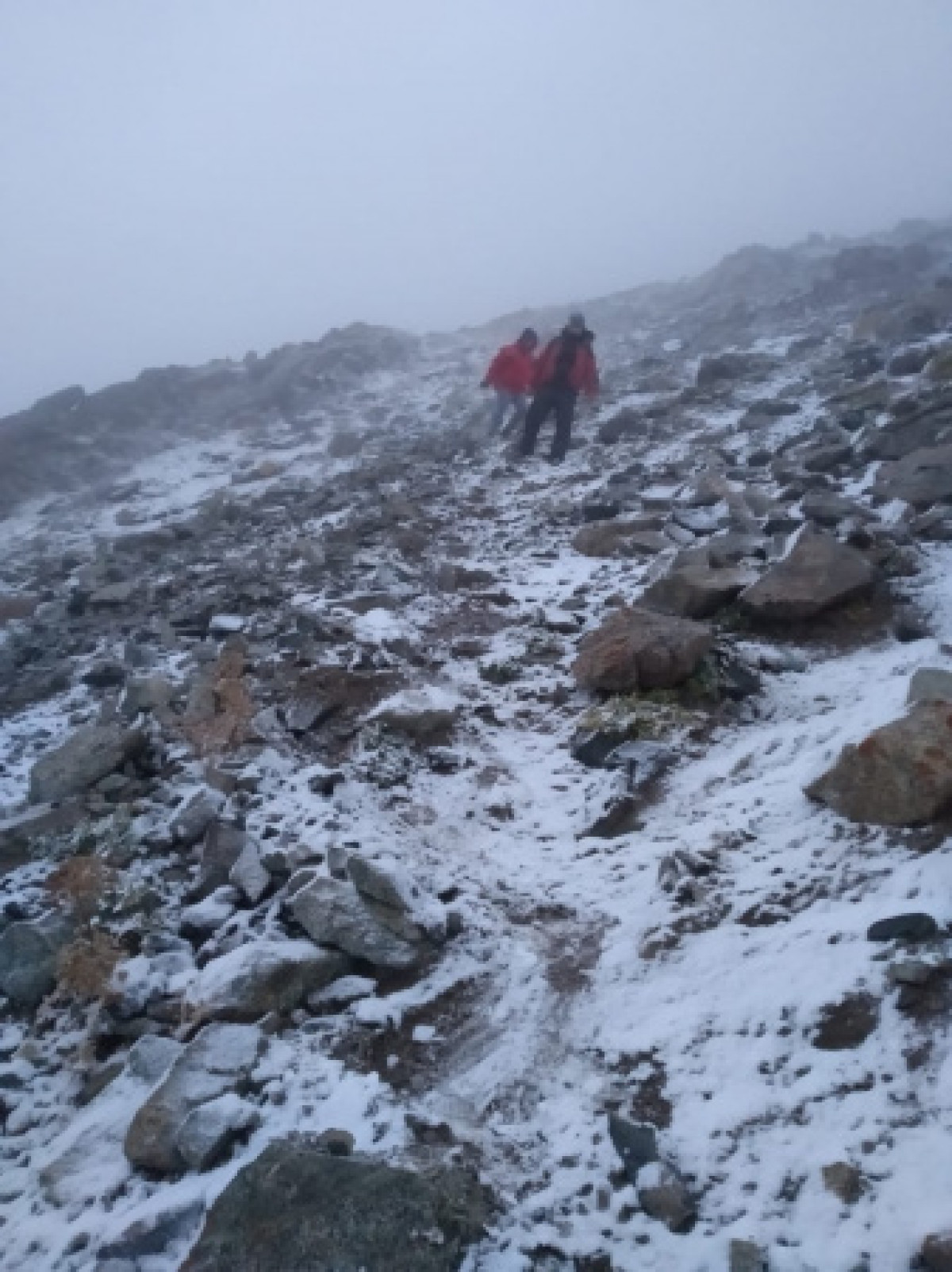 Спасатели обнаружили семью туристов на высоте 2800 метров в горах Алматы