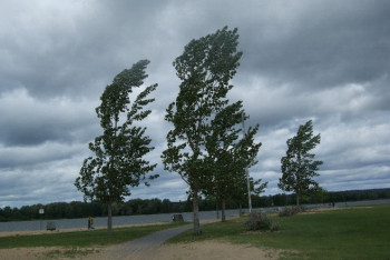 Фотография к новости: Первый снег прогнозируют синоптики в Казахстане