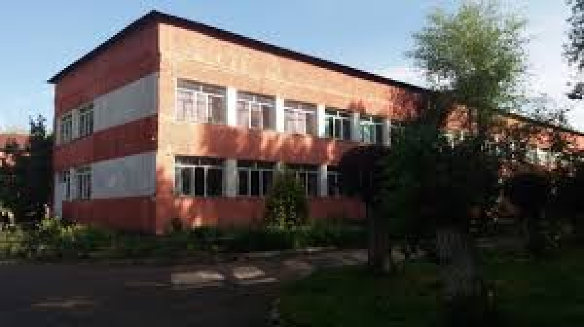 Ученик выпал из окна второго этажа школы в Алматы