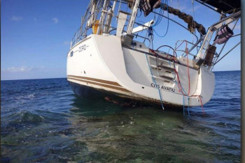 Фотография к новости: Тюлень-"полицейский" помог арестовать яхту с наркотиками на 1 млрд долларов