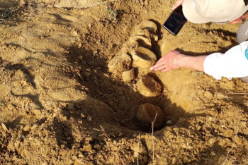 Фотография к новости: Найденного в Мангистау ихтиозавра передали в краеведческий музей