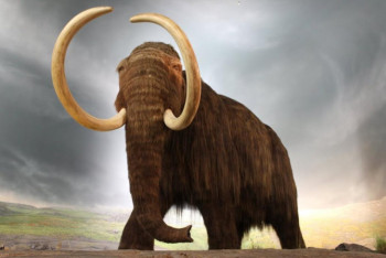 Фотография к новости: Некоторых вымерших животных воскресят в ближайшее время