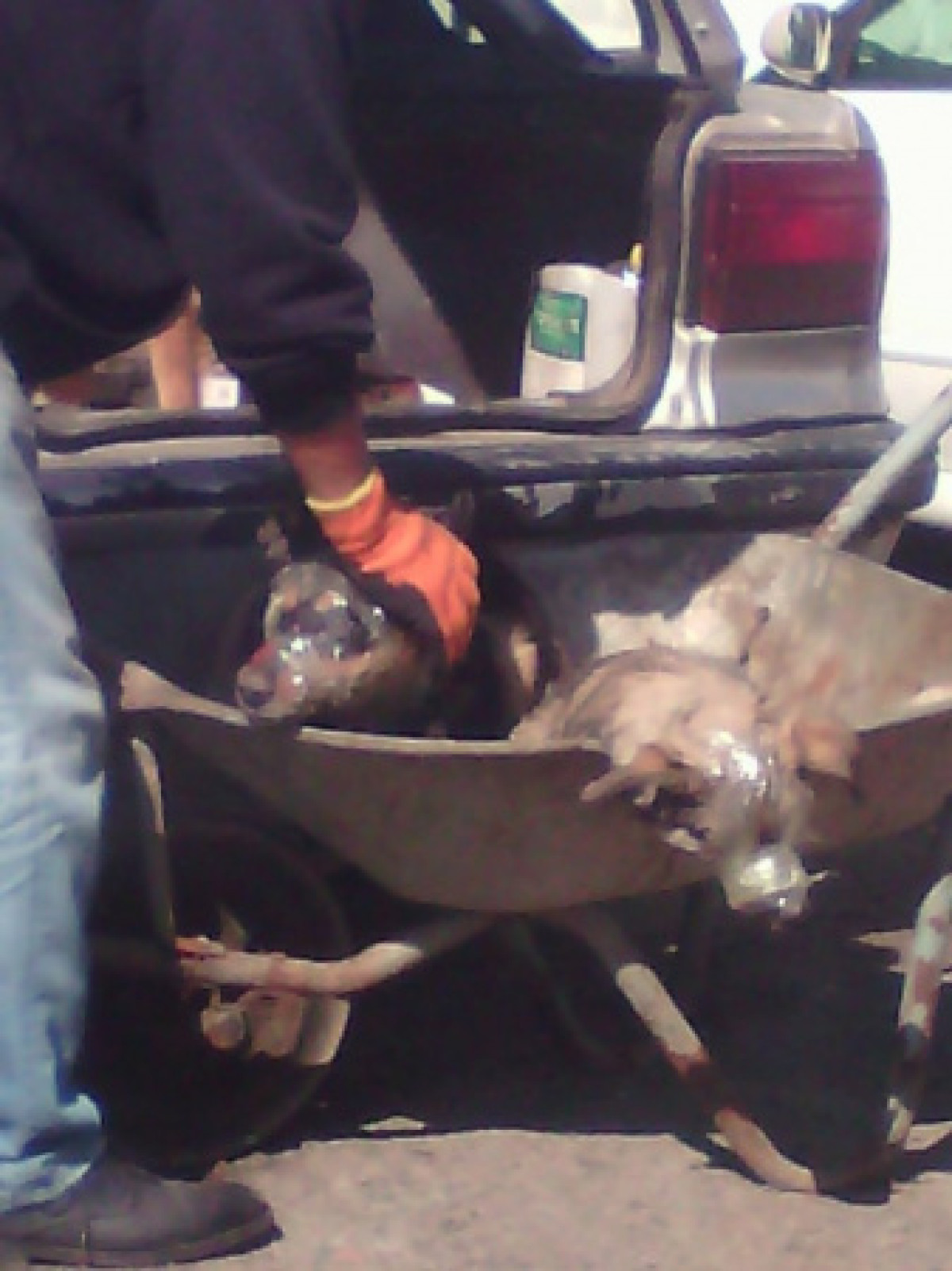 facebook.com/@Сергей Снегирев