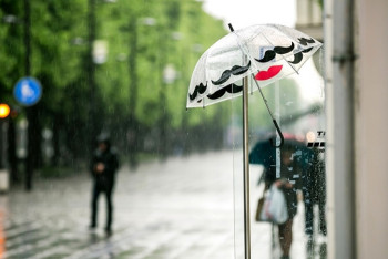 Фотография к новости: Дожди с грозами и пыльную бурю обещают синоптики в Казахстане