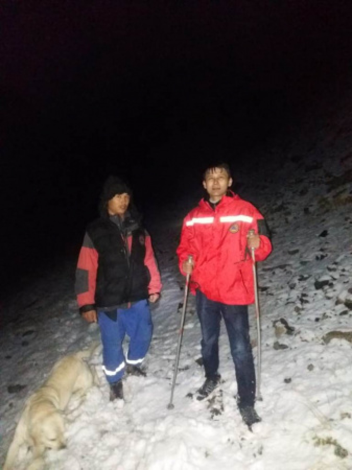 Собака помогла найти туриста, потерявшегося в горах Алматы