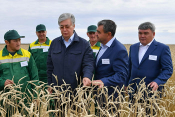 Фотография к новости: Токаев оценил работу предприятия "Зенченко"