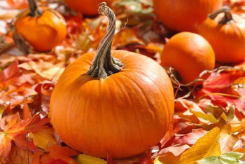 Фотография к новости: Продлевающий молодость овощ назвали ученые 