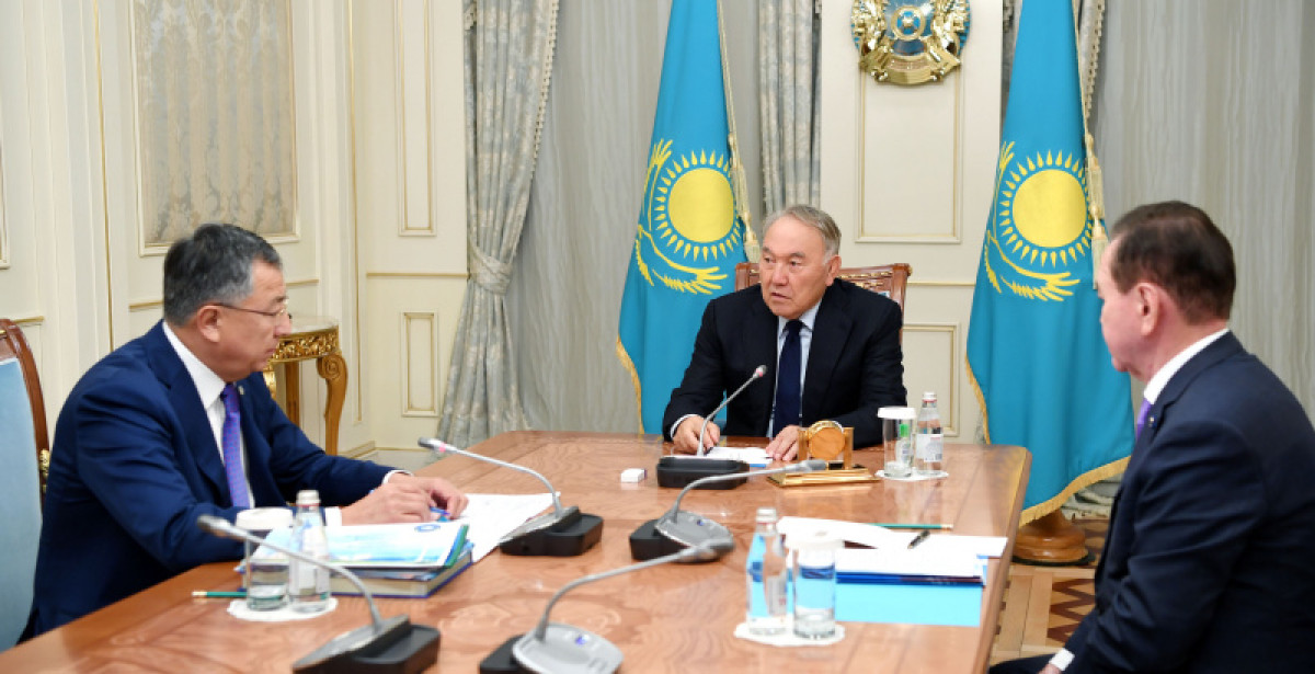 Елбасы принял заместителя председателя АНК Жансеита Туймебаева