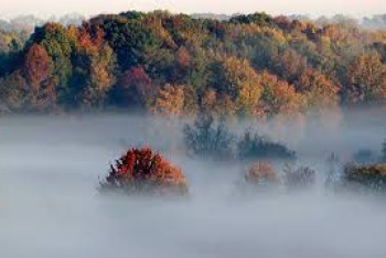 Фотография к новости: Усиление ветра и туман ожидается в Казахстане 20 сентября