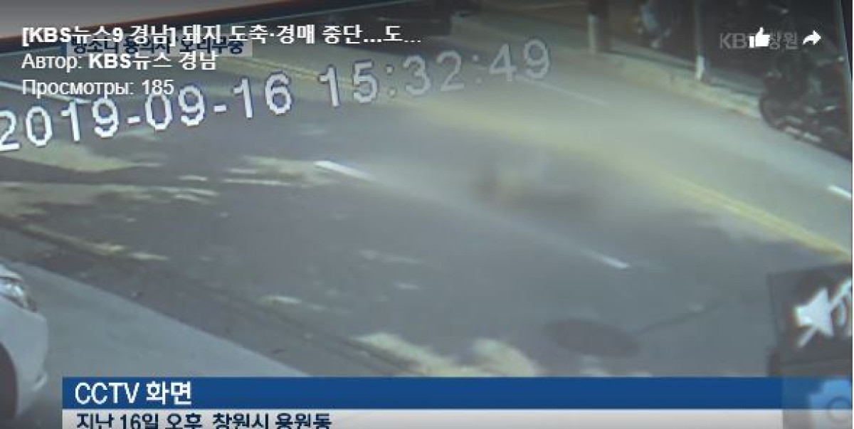 скрин из видео