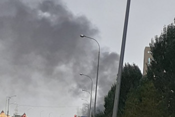 Фотография к новости: Пожар тушили в президентском парке Нур-Султана