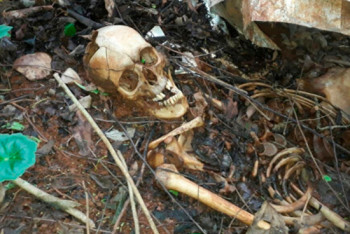 Фотография к новости: Человеческие останки обнаружили на территории бывшего парка в Атырау