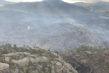 Фотография к новости: Пожар на территории Баянаульского района локализован