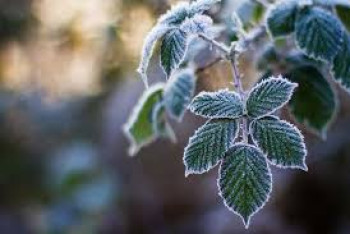 Фотография к новости: До минус 3 похолодает в Казахстане