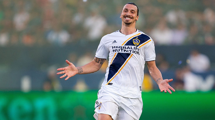 Фотография к новости: Златан Ибрагимович бросил вызов Хабибу Нурмагомедову  