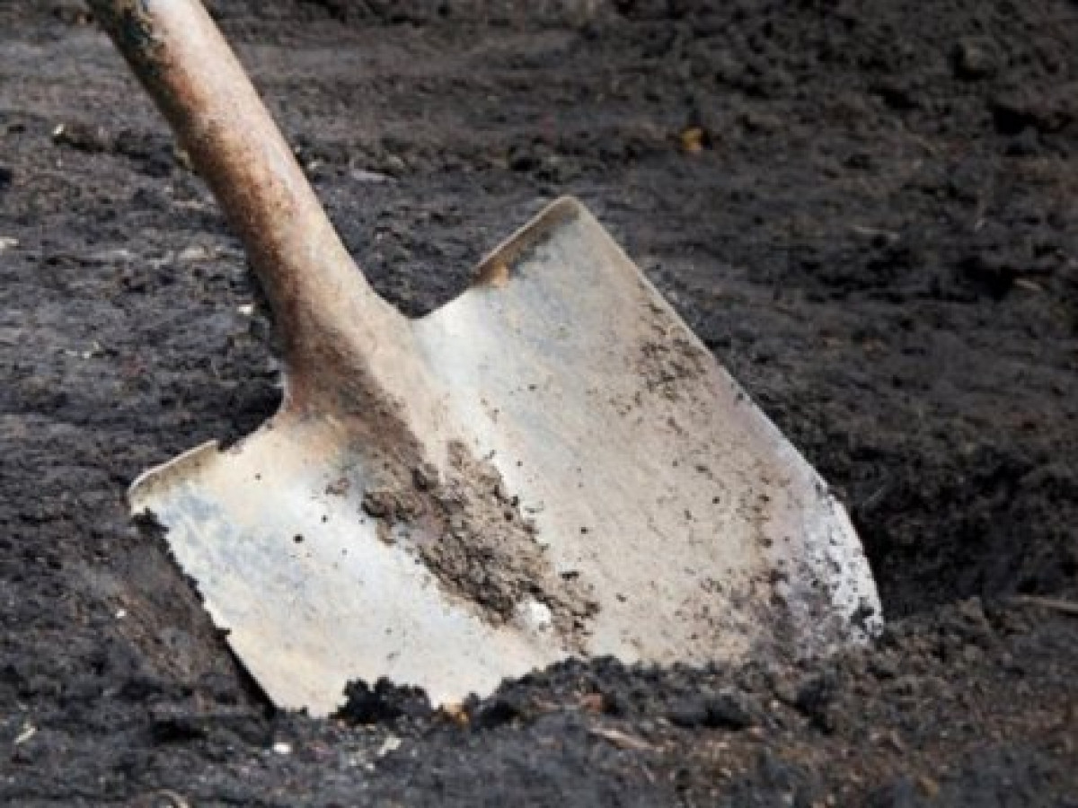 иллюстративное 