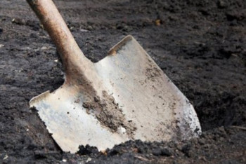 Фотография к новости: Бизнесмена закопали живьем. В Караганде начался суд над подозреваемым