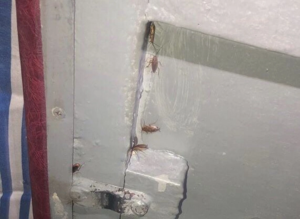 предоставлено очевидцами