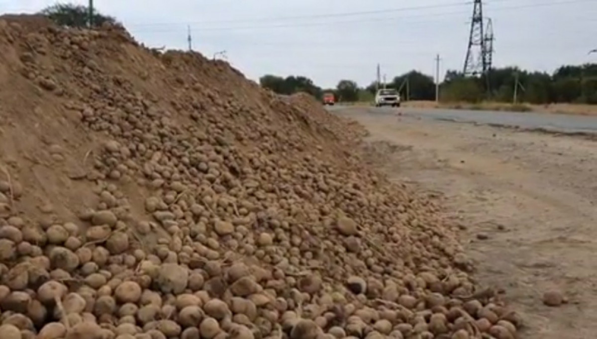 instagram / @angry_taldyk