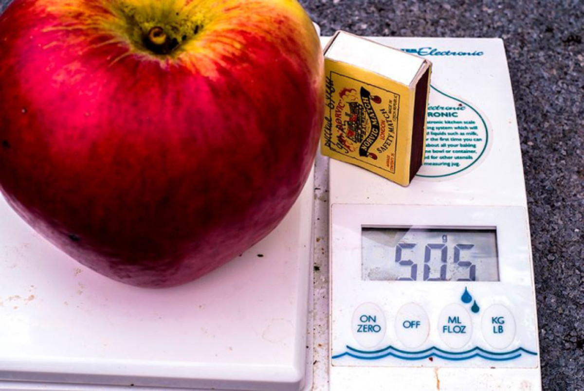 facebook / ALMA - apple