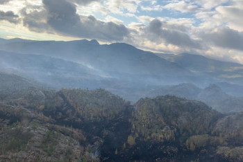 "Мы не можем на каждый заповедник держать по вертолету" - Тургумбаев о тушении пожара в Баянаульском нацпарке 