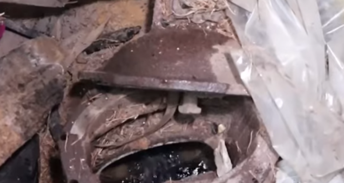 Водолазы нашли тонны фекального ила в Бухтарминском водохранилище 