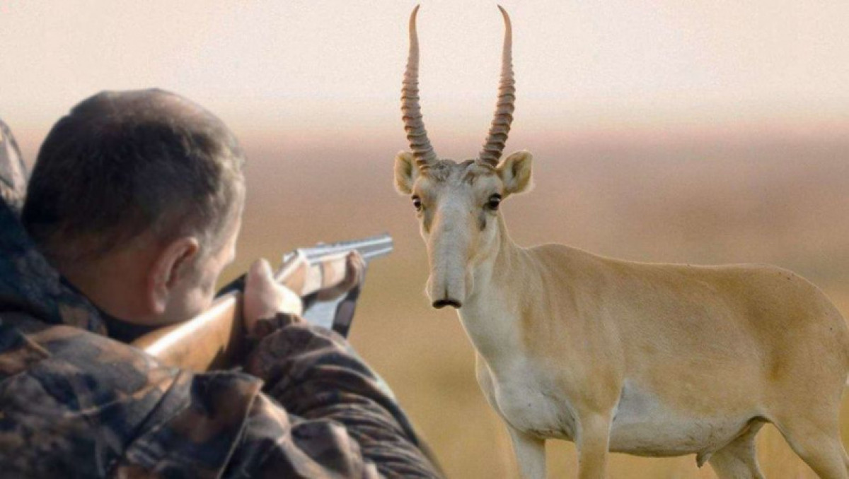 Токаев поручил ужесточить ответственность за браконьерство