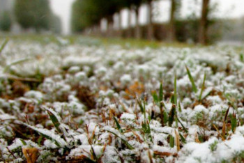 Фотография к новости: В Казахстане в ближайшие три дня ожидаются заморозки