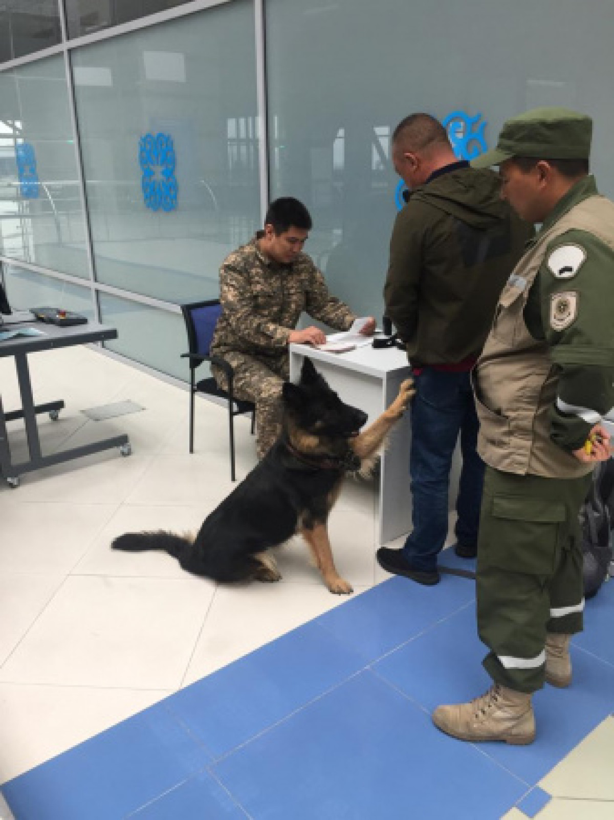 Незадекларированные денежные средства  пытались вывезти из Казахстана
