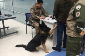 Фотография к новости: Незадекларированные денежные средства  пытались вывезти из Казахстана