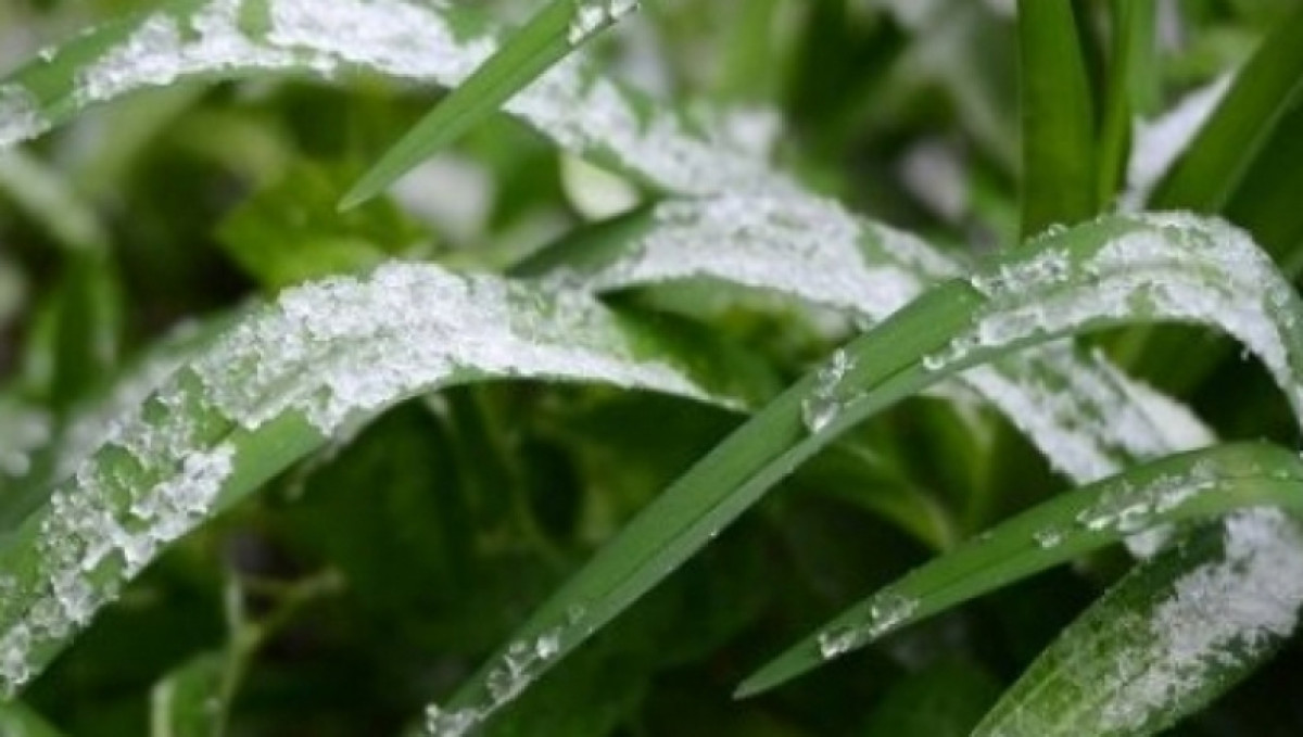 Заморозки и град ожидаются в Казахстане 12 сентября