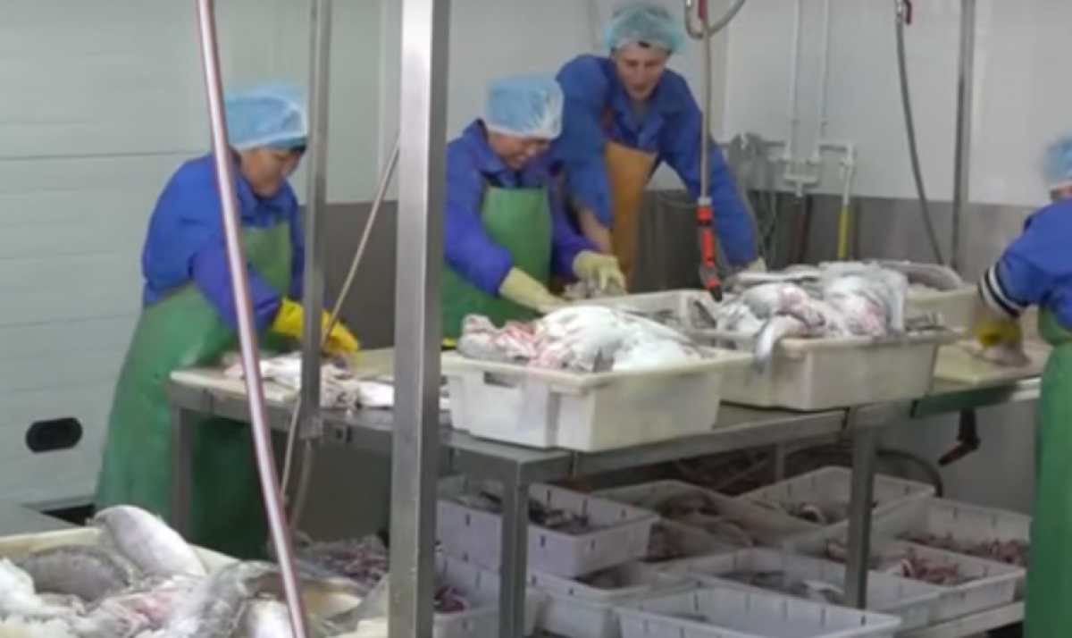 скрин с сюжета 24.kz