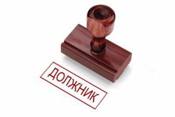 "Чемпион" рейтинга налоговых должников оказался работником сельского акимата  