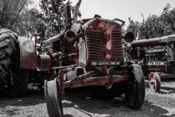 Фотография к новости: Ожидания фермеров рушатся — депутат об отказе субсидирования сельского хозяйства