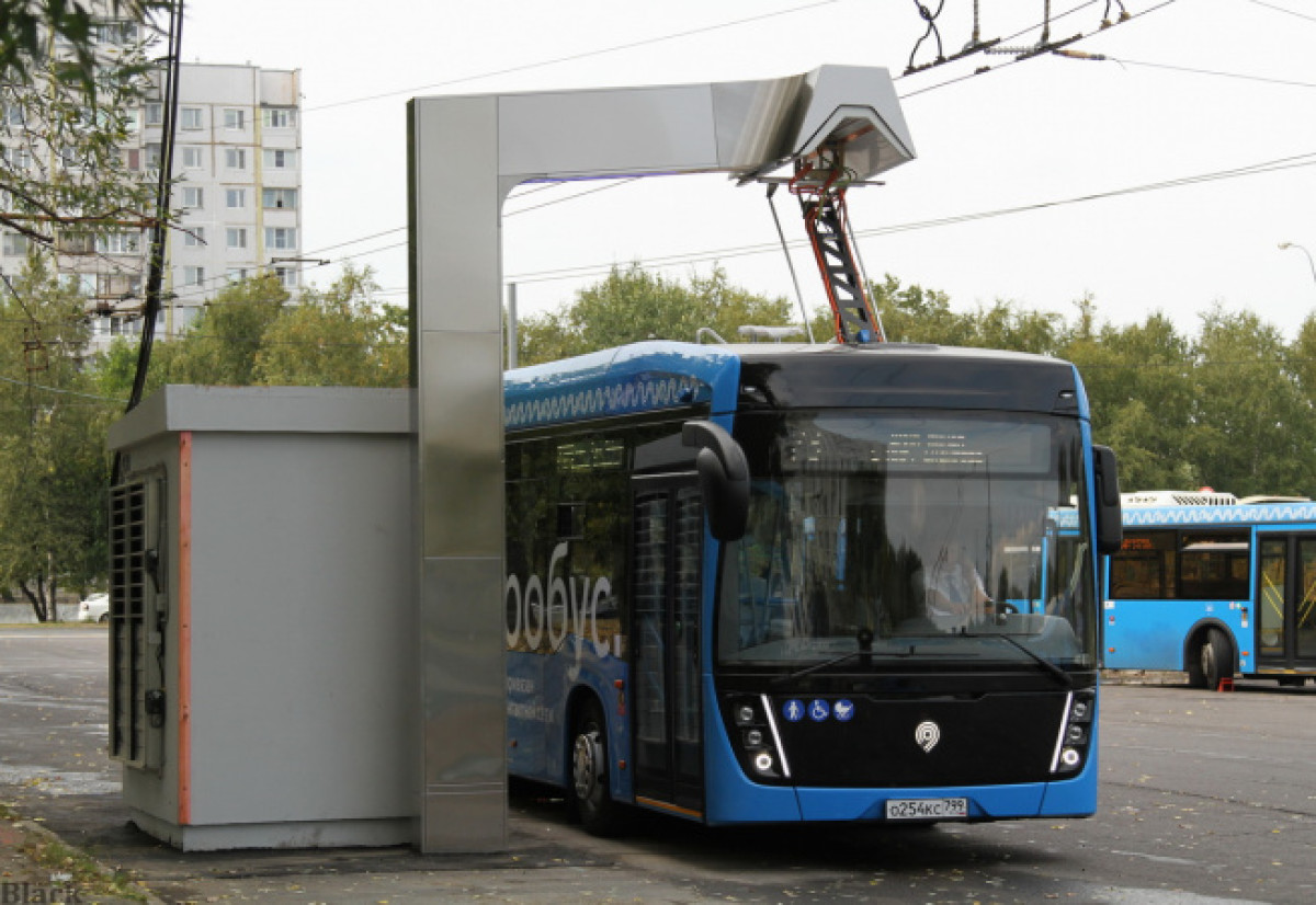 ttransport.ru
