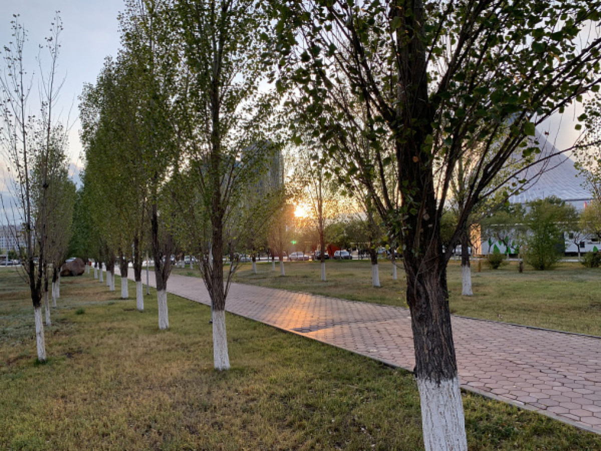 © liter.kz/Елбол Каримов