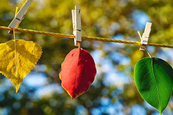 Фотография к новости: Погоду без осадков обещают синоптики в Казахстане