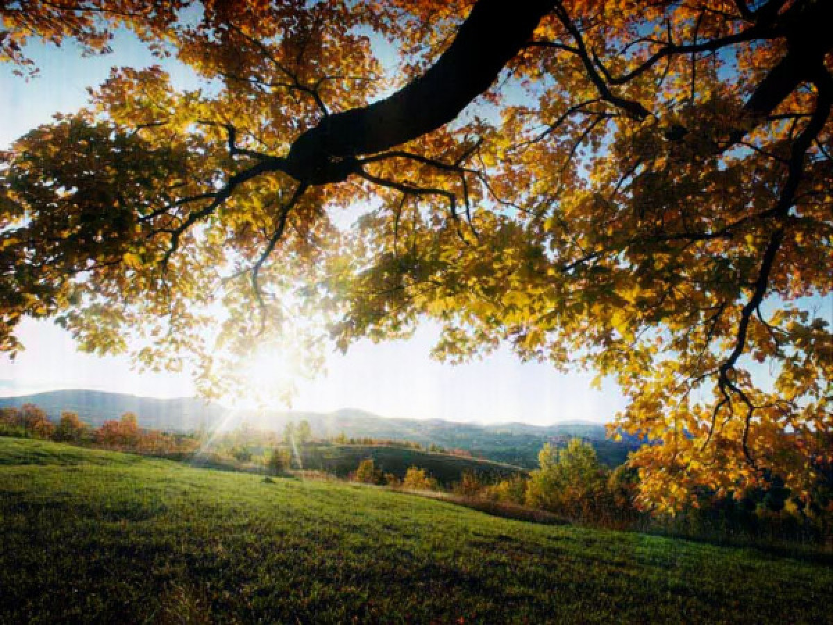 Ясная погода ожидается в Казахстане 7 октября