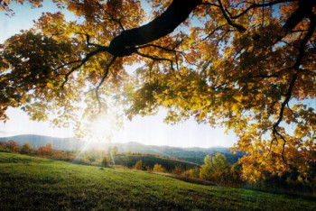 Фотография к новости: Ясная погода ожидается в Казахстане 7 октября