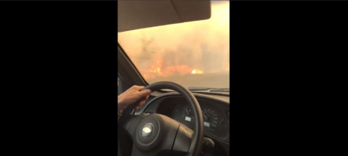 кадр из видео