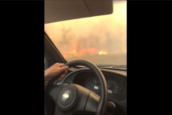 Фотография к новости: Леса и степь горят в ЗКО