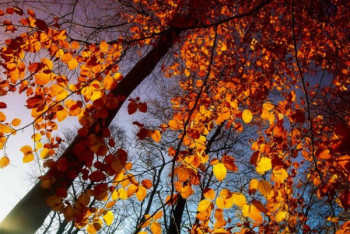 Фотография к новости: 8 октября на большей части Казахстана сохранится теплая погода без осадков