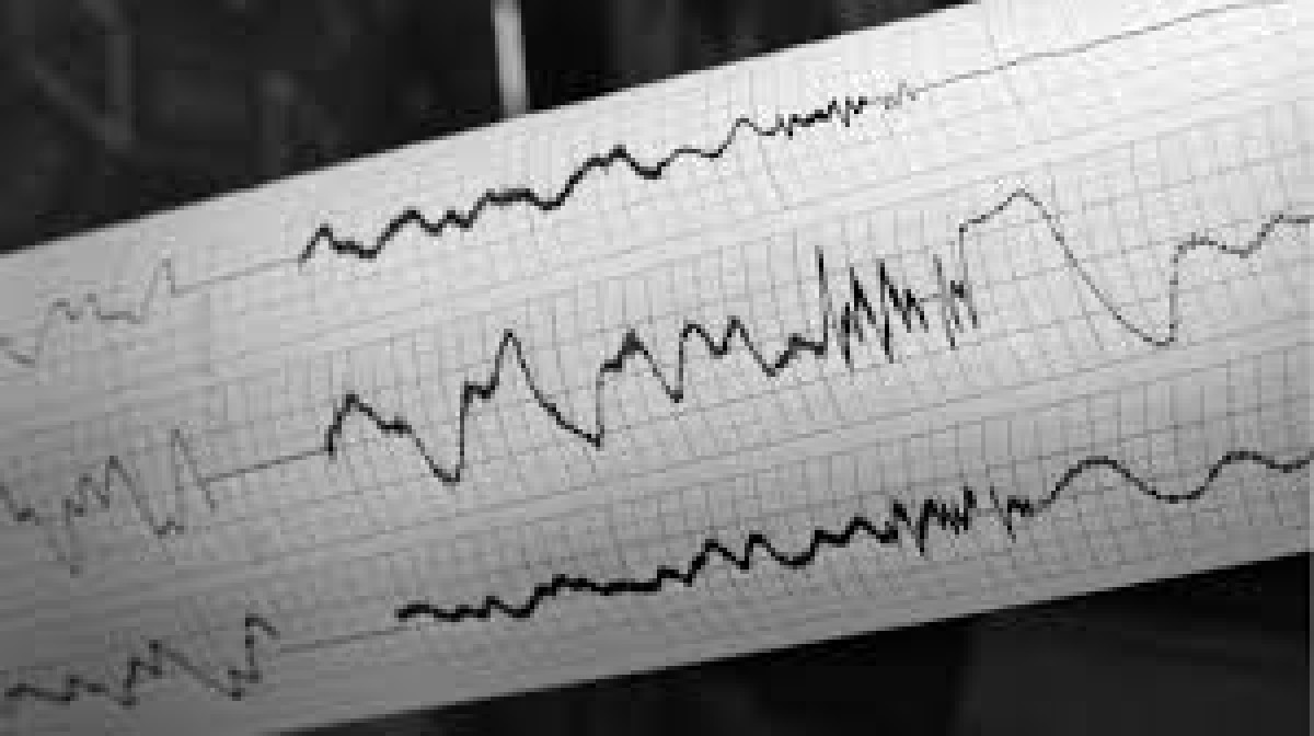 Землетрясение ночью ощутили жители Алматы