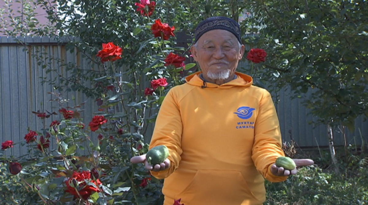 83-летний житель Алматинской области решил стать интернет-маркетологом