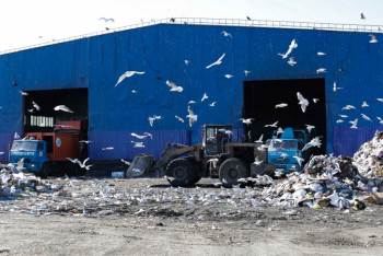 В городе "летающих пакетов" мусору дарят вторую жизнь